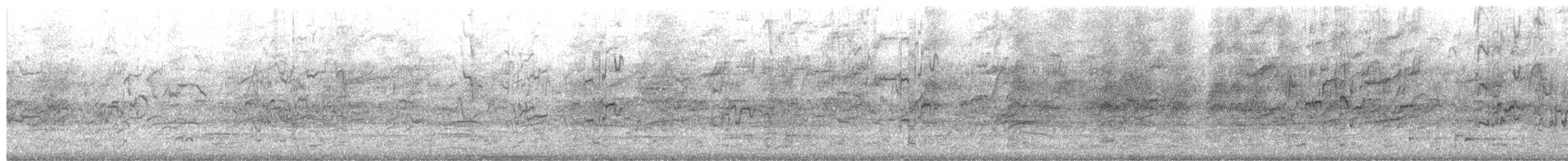 彩虹吸蜜鸚鵡 - ML650471780