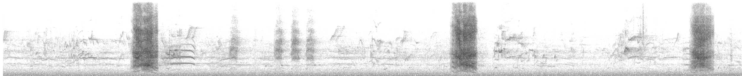 Red Wattlebird - ML650471787