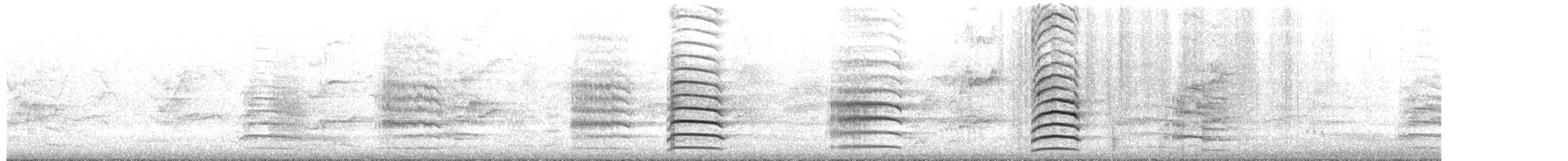 Red-tailed Black-Cockatoo - ML650471794