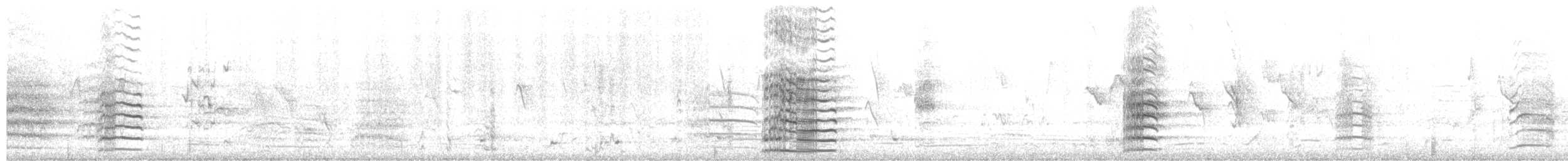 Red-tailed Black-Cockatoo - ML650471795