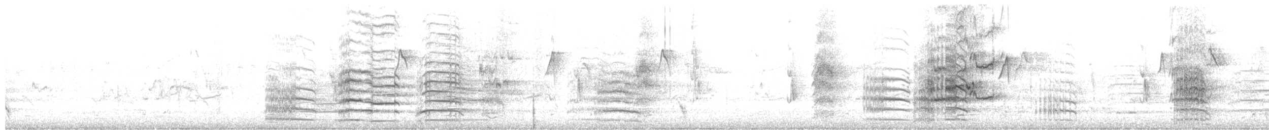 Red-tailed Black-Cockatoo - ML650471796