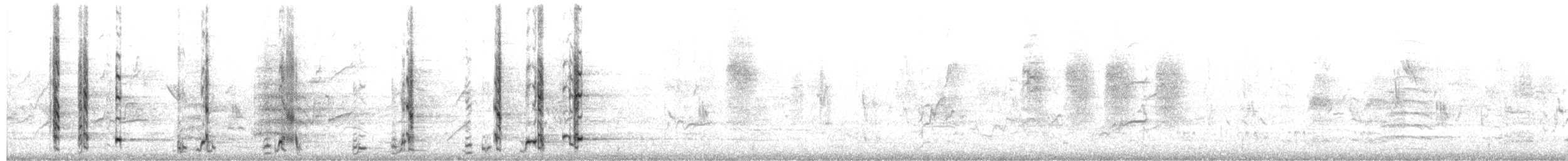 Western Wattlebird - ML650471804