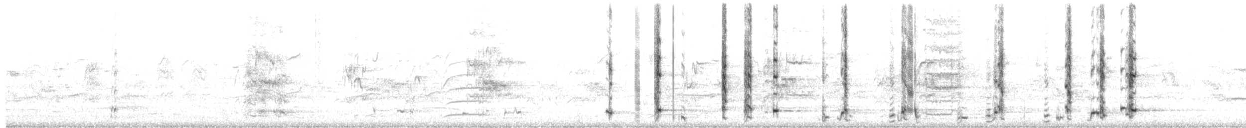 Western Wattlebird - ML650471806