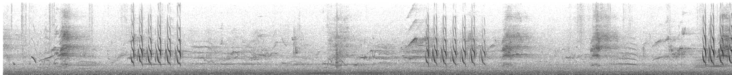 White-cheeked Honeyeater - ML650471813