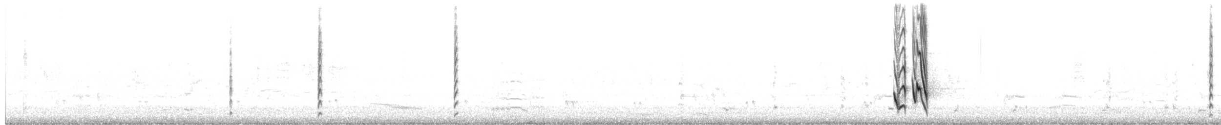 White-cheeked Honeyeater - ML650471814