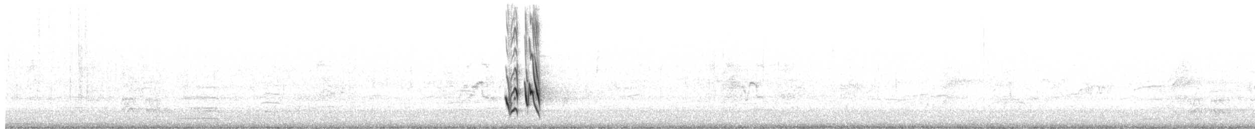 White-cheeked Honeyeater - ML650471815