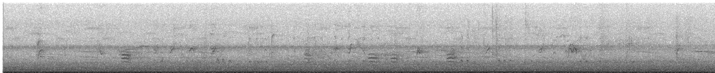 White-breasted Nuthatch (Eastern) - ML650479952