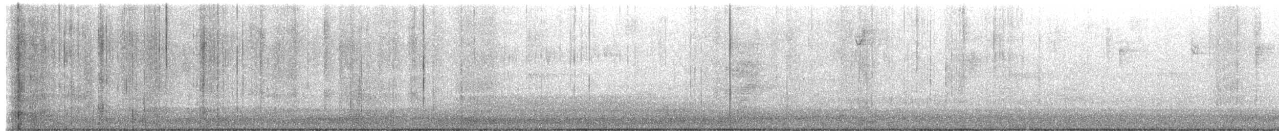 Acorn Woodpecker - ML650480894