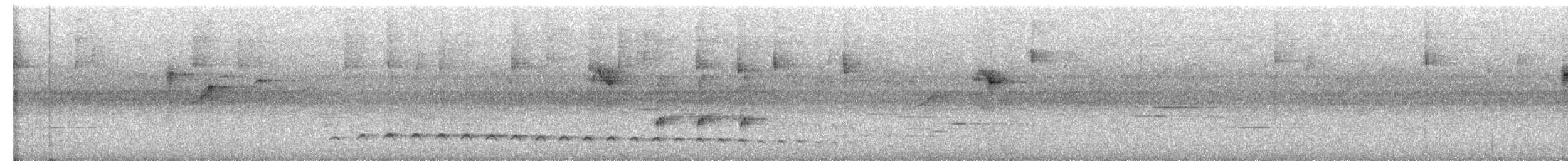 Plain Antvireo - ML650481130