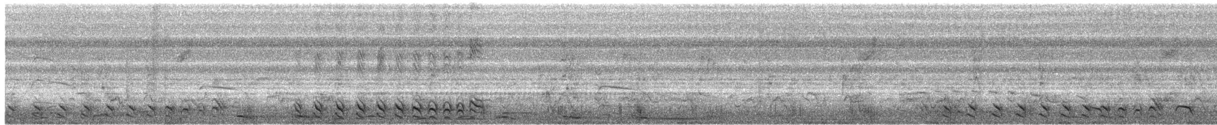 Сорокуш смугастий [група doliatus] - ML650482105