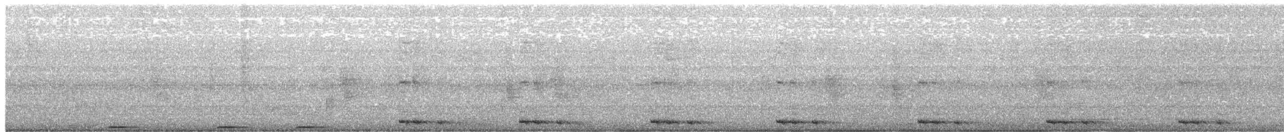 Lesser Coucal - ML650490737