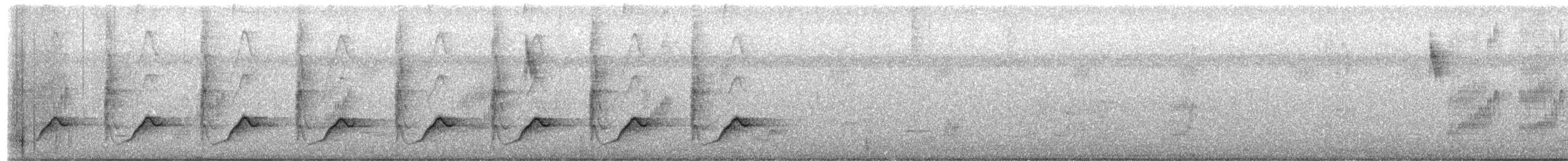 Кубла строката - ML650491030