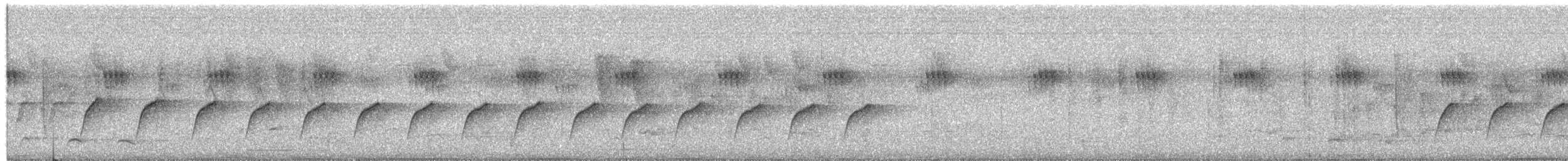 Кубла строката - ML650495164