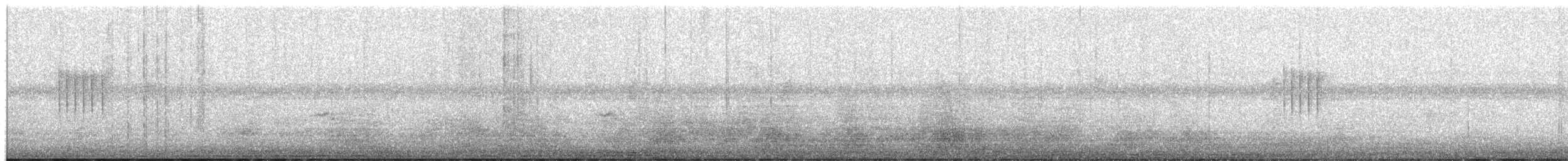 passereau sp. - ML650495699