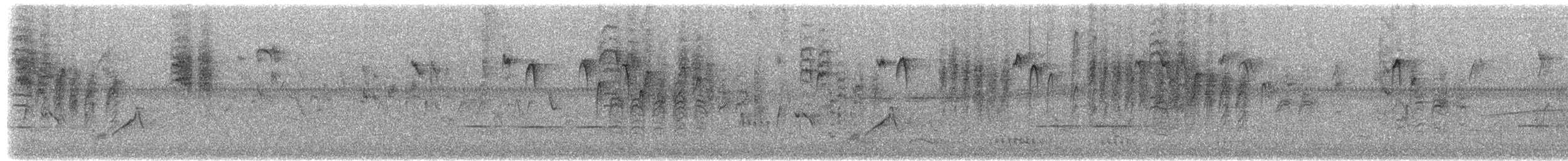 Carbonero de Carolina - ML650496617