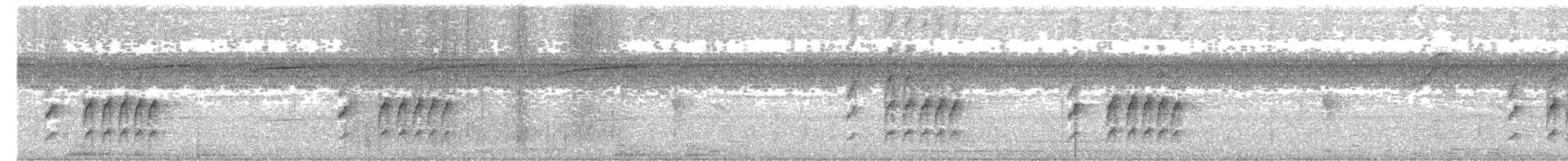 Spixdickichtschlüpfer - ML650497621