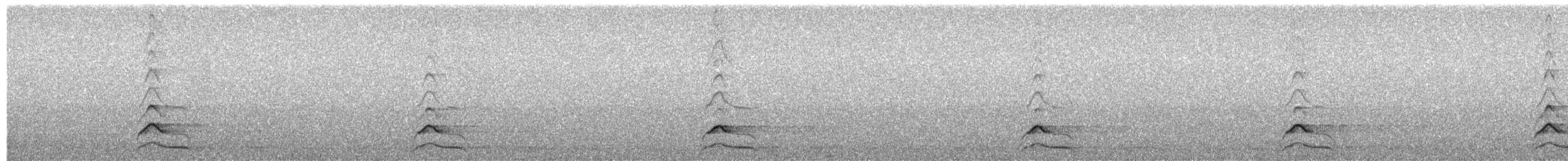 Steinkauz - ML650498169