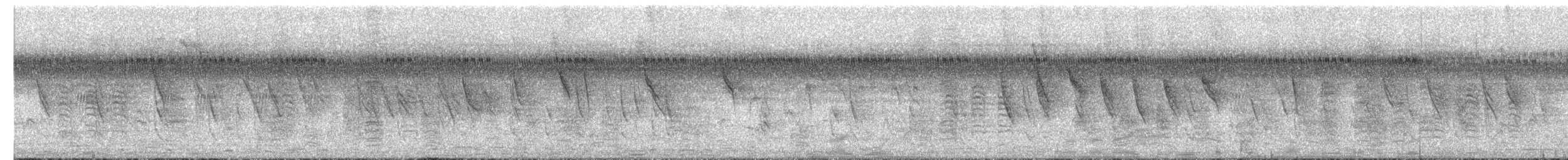 Highland Rush Warbler - ML650500888