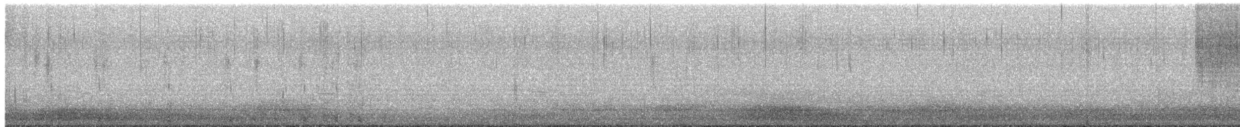 琵嘴鴨 - ML650502987