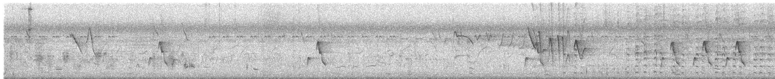 hinduskvett - ML650503533