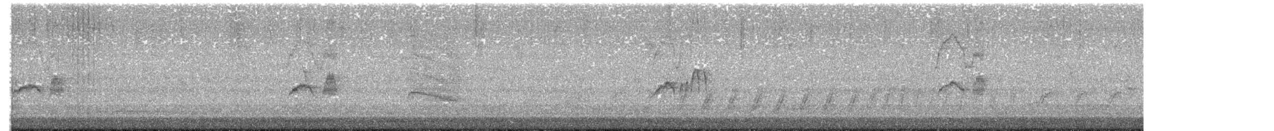 gråfibi - ML650503658