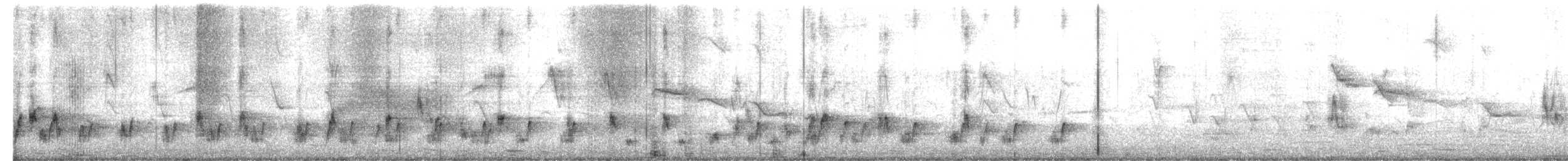 hvitbrynbylbyl - ML650503789