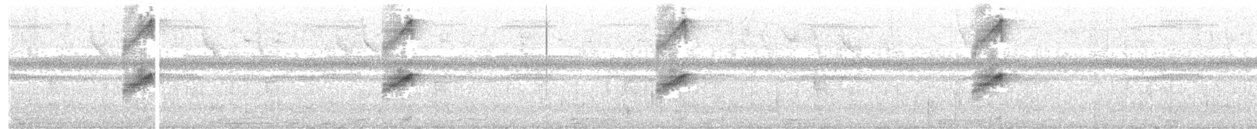 bladflatnebb - ML650504443