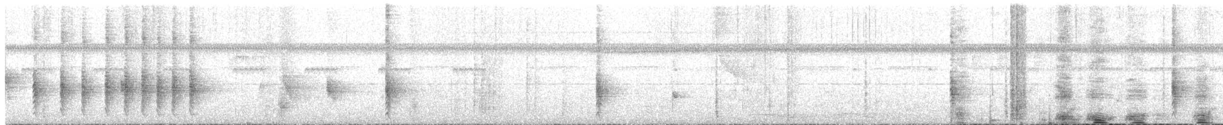 argusfasan - ML650504444