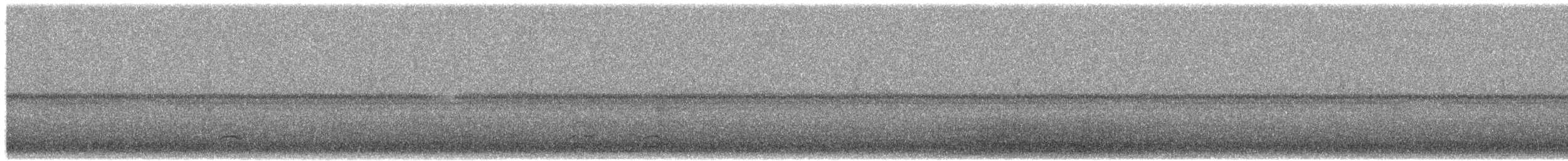 snøgås - ML650504617