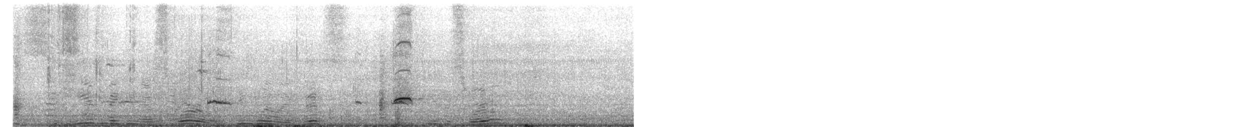 Чирянка мала - ML650509095