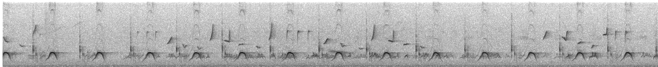 Кубла строката - ML650509591