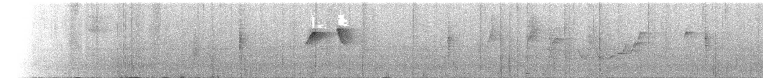 Batara rousset - ML650510420