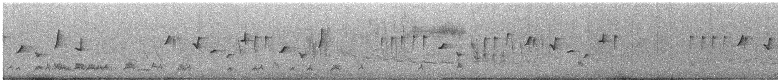 Cisticole à ailes courtes - ML650510426