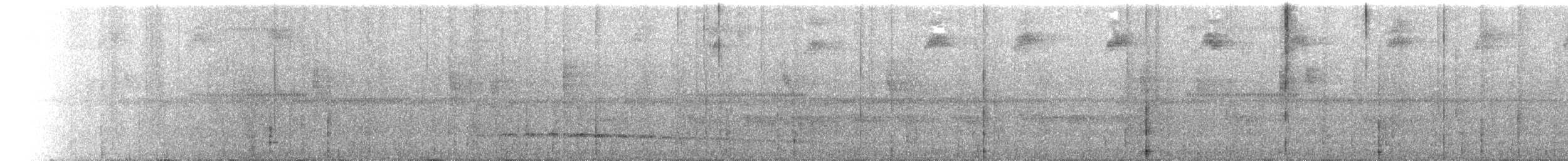 Batara gorgeret - ML650510430