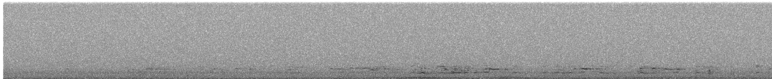 Oie rieuse - ML650510479