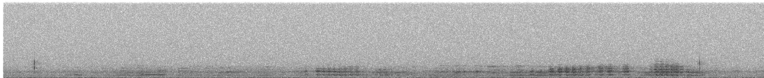 Grand Cormoran - ML650510558