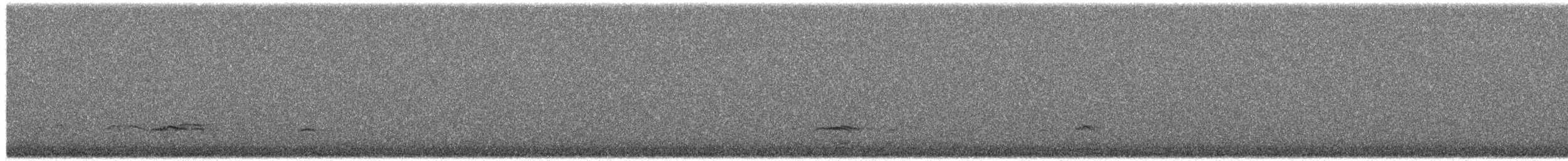 Чирянка мала - ML650510594