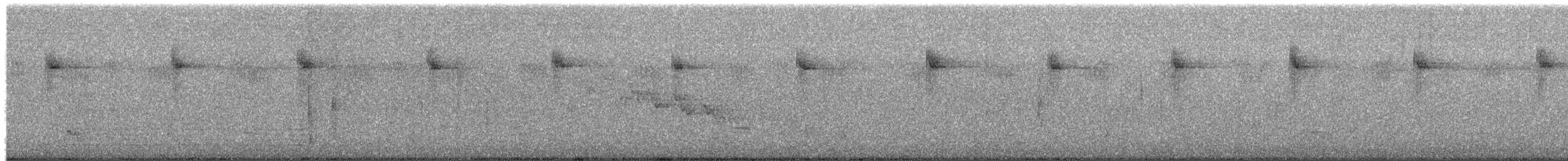 Cisticole des joncs - ML650510664