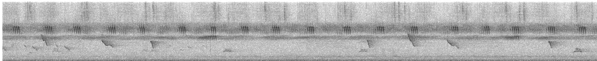Souimanga améthyste - ML650510764