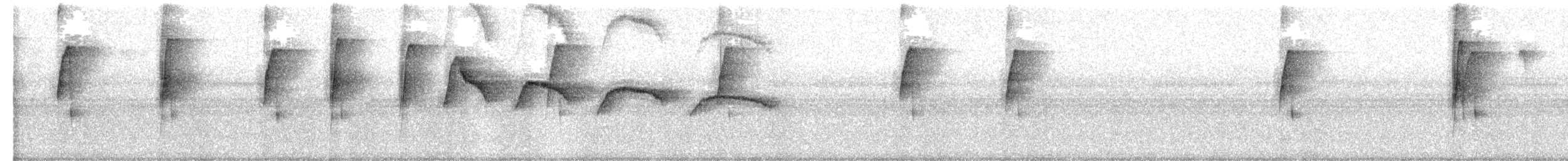 Sclérure à gorge rousse - ML650511227