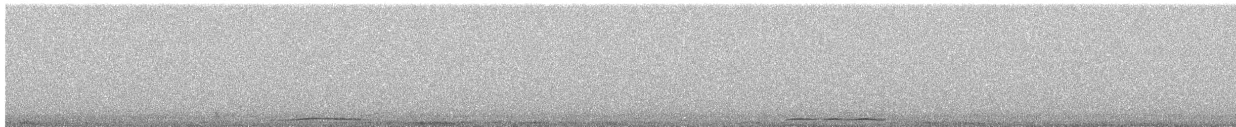 Little Owl - ML650512865