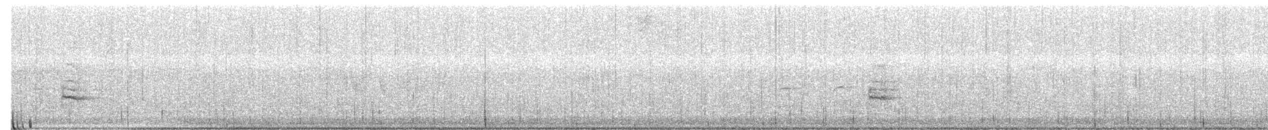 Rallidae sp. (rail/crake sp.) - ML650514102