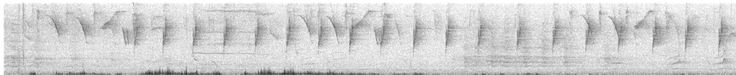 Sparkling Violetear - ML650514958