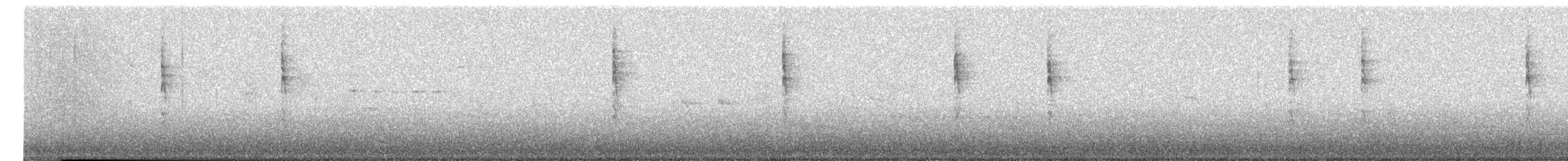 ウィルソンアメリカムシクイ - ML650516284