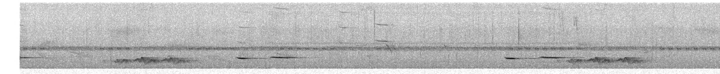 Géocoucou tacheté - ML650517260