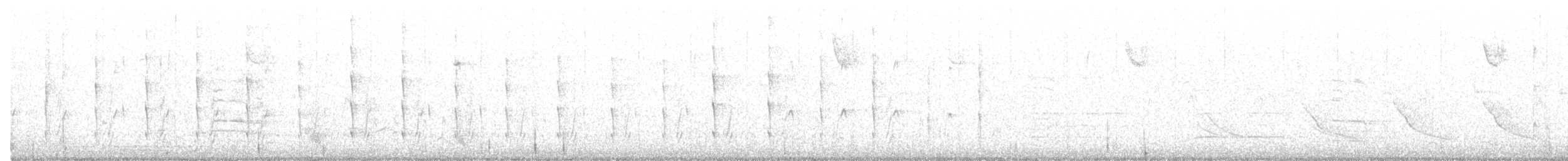 Pico Velloso - ML650518470