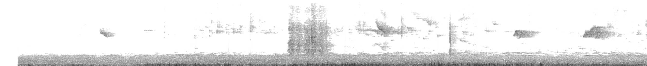 Brown-throated Parakeet (Venezuelan) - ML650518894