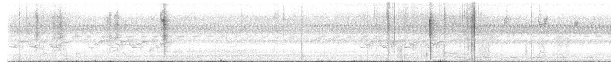 チャイロツグミモドキ - ML650525451