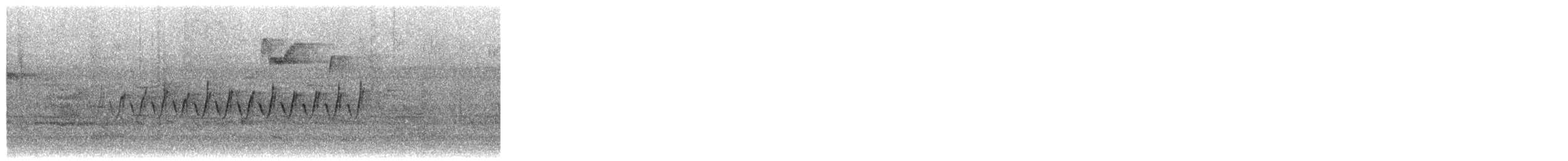 Pine Warbler - ML650525758