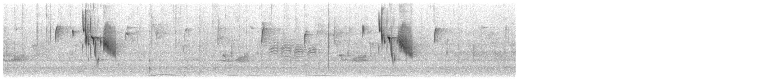 Carbonero de Carolina - ML650525995